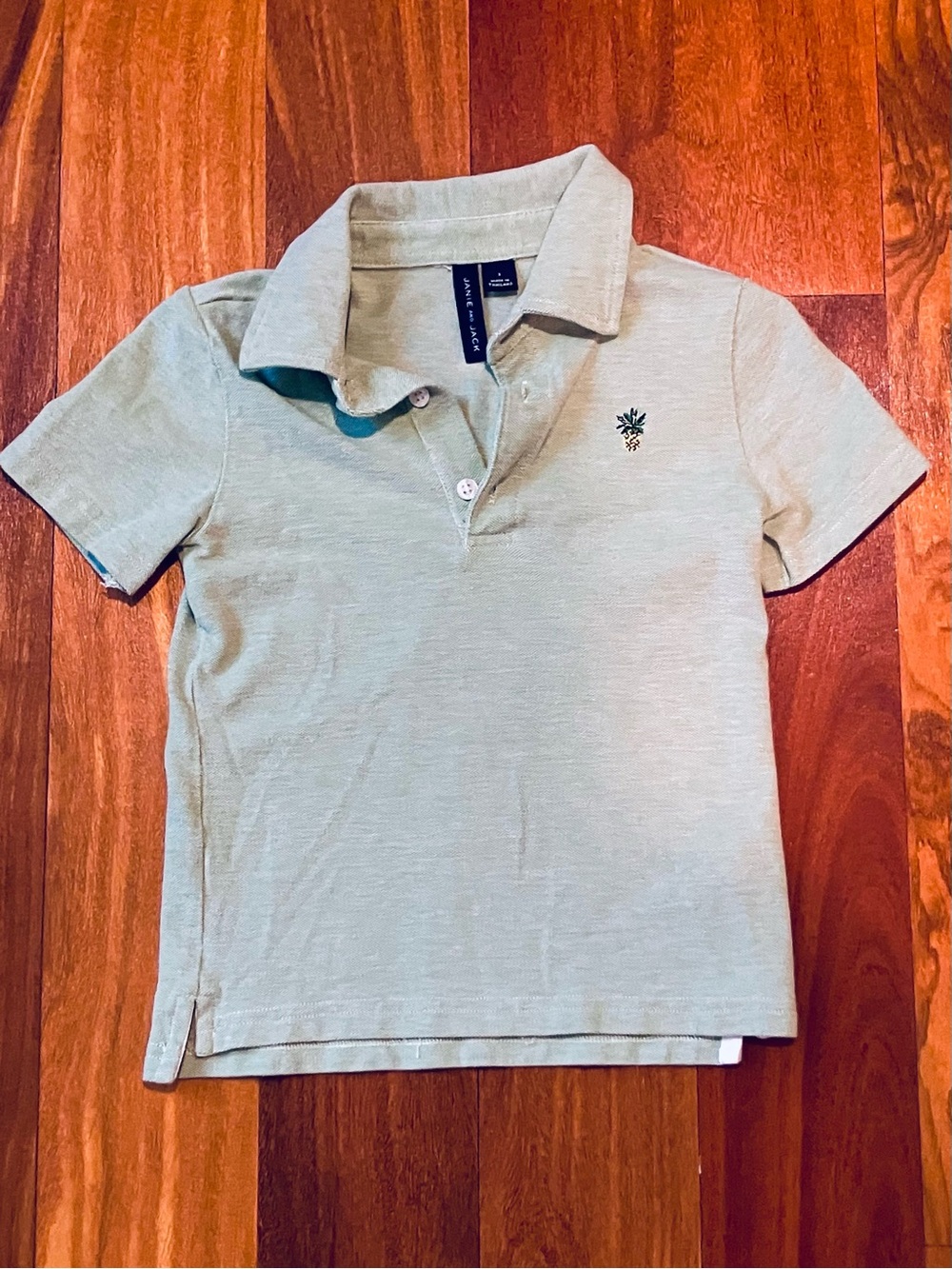 Janie and Jack Light Green Pineapple Embroidered Polo